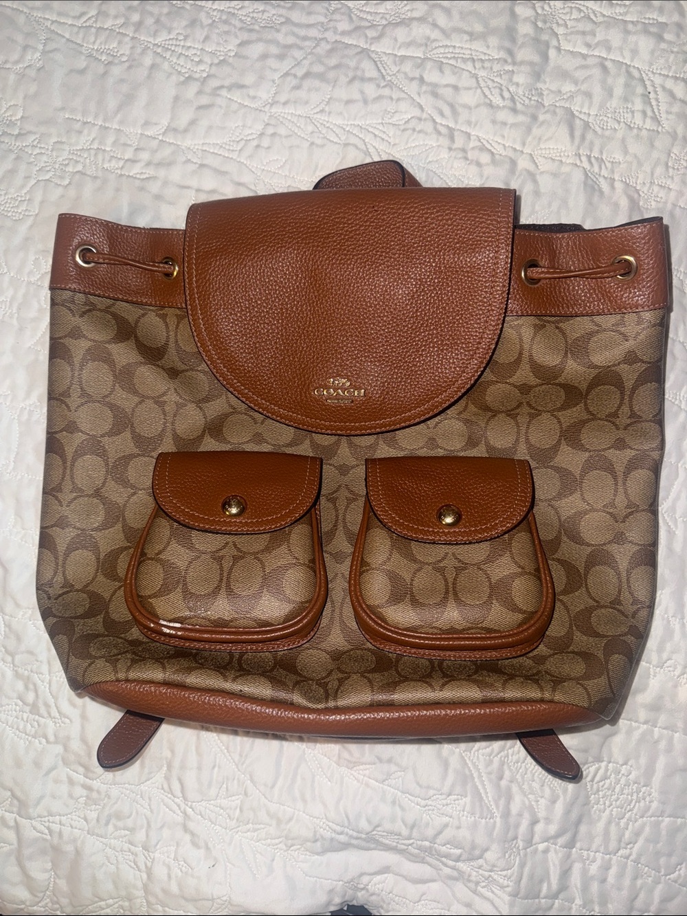 Large Pennie  Coach backpack in signature canvas